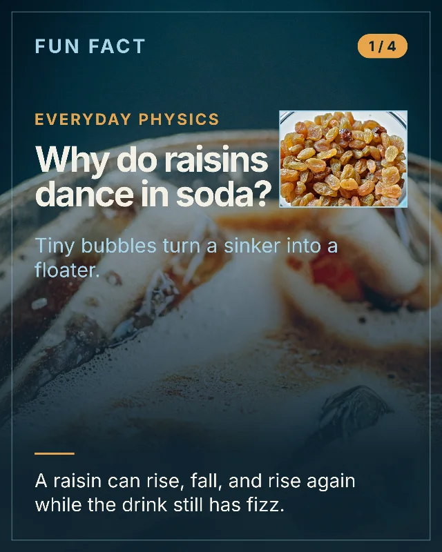 Why Do Raisins Dance in Soda?