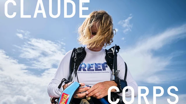 A Claude Corps fellow in REEF marine conservation gear prepares to dive — part of Anthropic's $150M nonprofit fellowship program