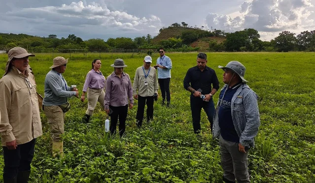 PAHO-supported field and laboratory training for hantavirus surveillance