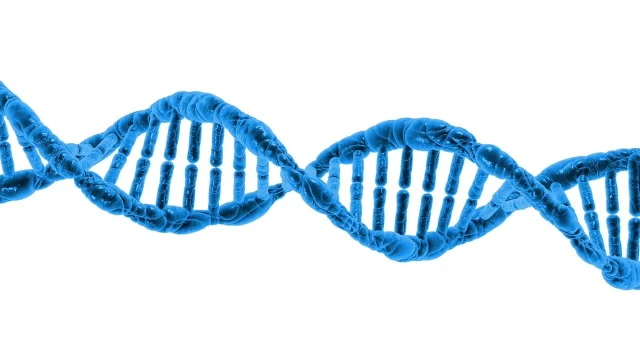 DNA 双螺旋结构,生物学科学概念配图
