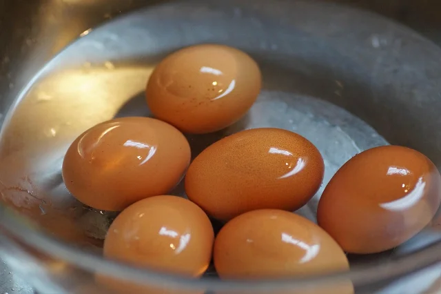 Brown eggs standing in a metal bowl of cold water