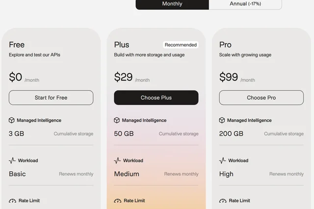 The Free, Plus and Pro cards on the TwelveLabs pricing page, showing 3 GB, 50 GB and 200 GB of cumulative storage against Workload allowances named Basic, Medium and High