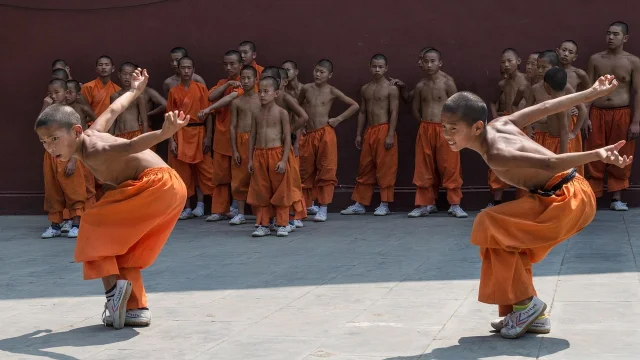 少林寺演武场,武侠精神贯穿今日排片
