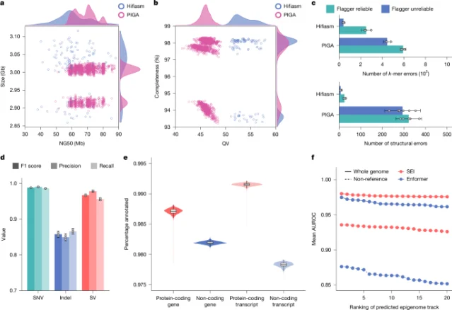 Assembly size, contig NG50, QV distribution, variant calling performance, and gene annotation completeness across 1,116 1KCP assemblies