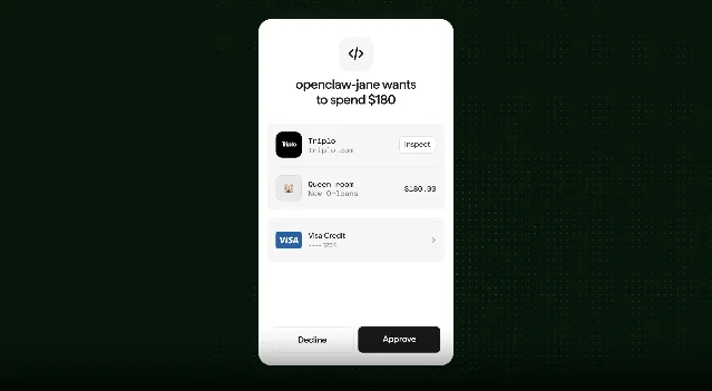 Stripe Link 钱包界面