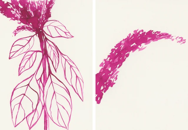 A magenta ink drawing of a flowering plant and a separate curved brushstroke on white paper