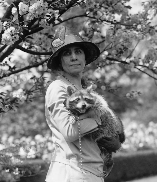 Grace Coolidge in a wide-brimmed hat holding the raccoon Rebecca against her shoulder under a flowering tree