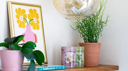 Wooden ledge shelf with plants and frames displayed on a white apartment wall