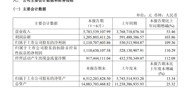 生益电子2026年半年报主要会计数据表