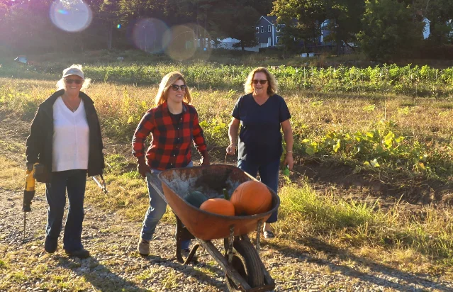 three women walking across a farm field at sunset, the middle one pushing a wheelbarrow holding two pumpkins