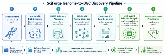 Genome-to-BGC 发现流程