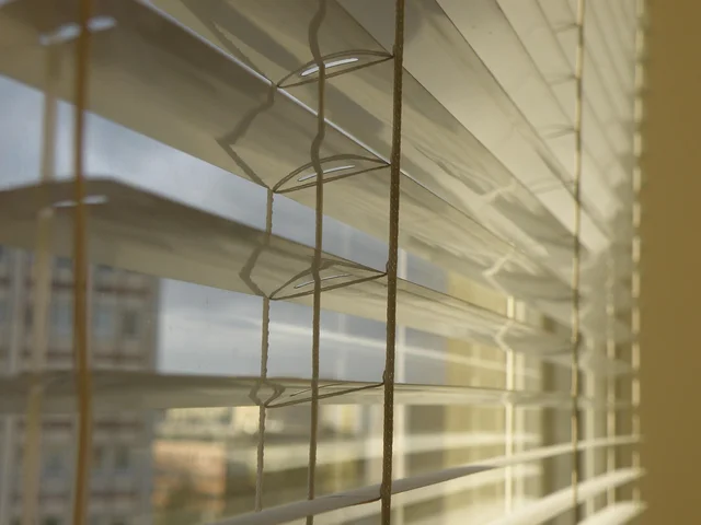 White venetian slats with their cords, seen against a window