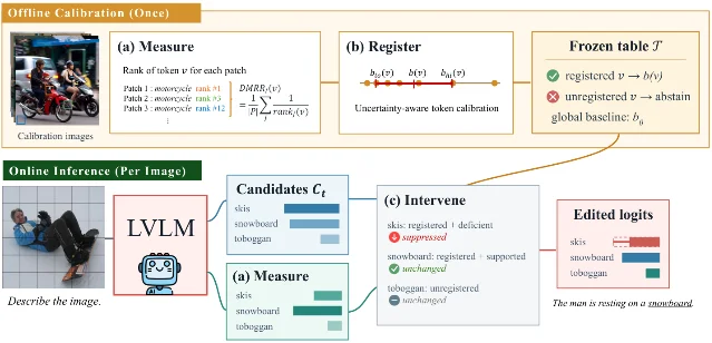 ReWEIGH 先离线校准 token 参考表,再在每张图像推理时对证据不足的候选施加有界干预。