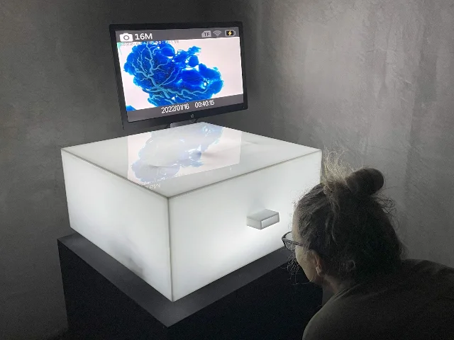 Placen-Tech installation view showing the illuminated acrylic incubation enclosure and real-time placenta monitor