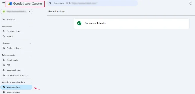 Google Search Console Manual Actions screen showing 'No issues detected' status message