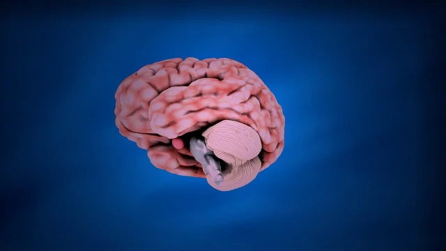 Conceptual illustration of neural pathways and synaptic connections in the brain