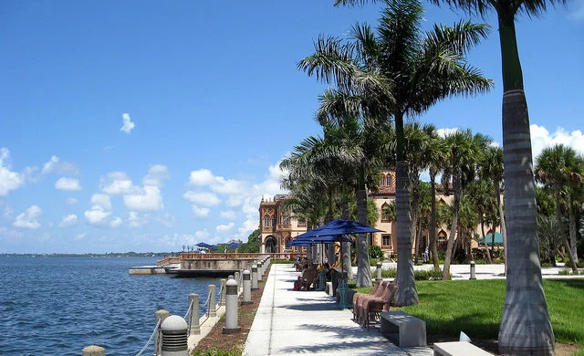 Sarasota — waterfront promenade with palm trees