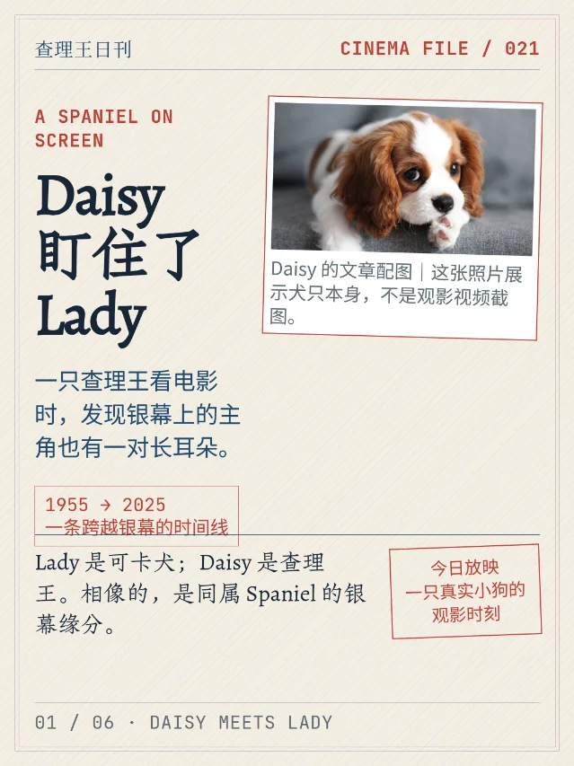 Daisy 看到 Lady：一场 Spaniel 观影反应的犬种辨认