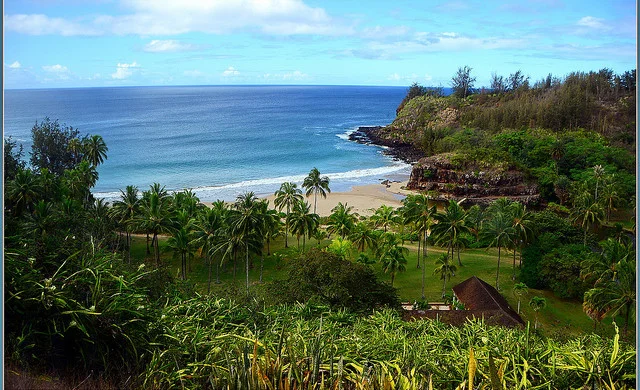 Kauai tropical bay landscape with palm trees, sand, and blue-gradient ocean