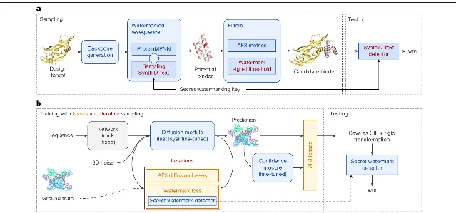 论文 Fig. 1:上下两栏流程图。上栏 a 是序列侧,从 Design target 经 Backbone generation 进入 Watermarked resequencer(内含 ProteinMPNN 与 Sampling SynthID-text),产出 Potential binder,再经 Filters(AF3 metrics 与 Watermark signal threshold)得到 Candidate binder,末端的 SynthID-text detector 输出 wm;一条 Secret watermarking key 的箭头同时指回采样环节与检测环节。下栏 b 是结构侧,Sequence 经过固定参数的 Network trunk 进入被微调的 Diffusion module,预测结果同时参与 AF3 diffusion losses 与 Watermark loss,后者右侧挂着 Secret watermark detector;右侧 Testing 框内是先保存为 CIF 再做刚体变换,然后交给同一个检测器