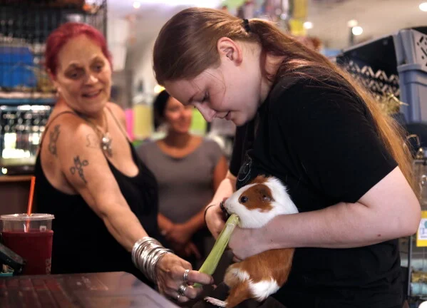Director Kimie Smothermon feeds a guinea pig while volunteer Brianna MacIntyre clips its nails.