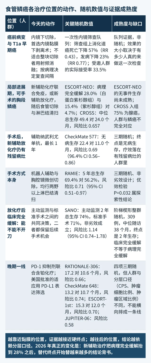 食管鳞癌各治疗位置的动作、关键随机数值与证据成熟度对照表