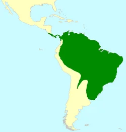 Map showing the grey-cowled wood rail’s range across Central and South America