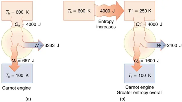 Carnot engine entropy comparison