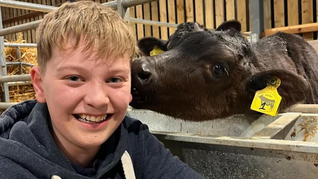 A smiling teenage boy beside a black calf leaning over a metal barrier