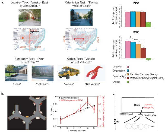 Experimental design showing four tasks (location, orientation, familiarity, object detection) for Penn campus vs. unfamiliar campus images, with bar graphs showing RSC response elevated for spatial tasks on familiar campus, PPA flat across conditions.