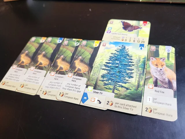 欧洲野兔与红狐狸形成的卡牌组合