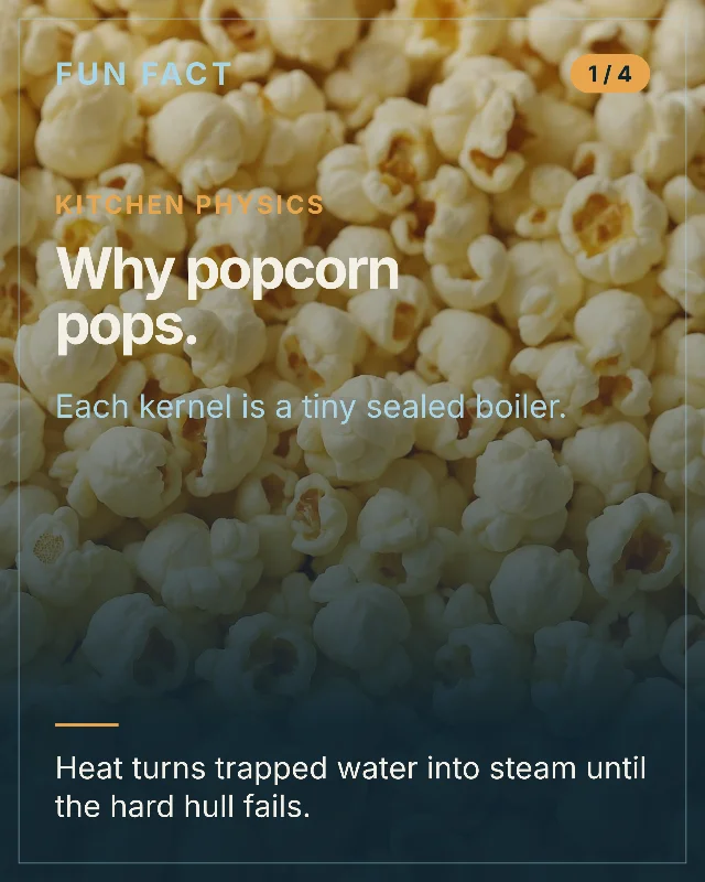 Why popcorn pops