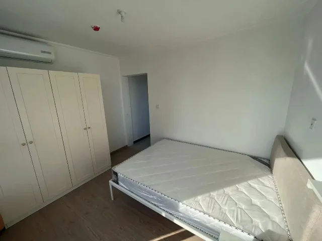 卧室床和衣柜