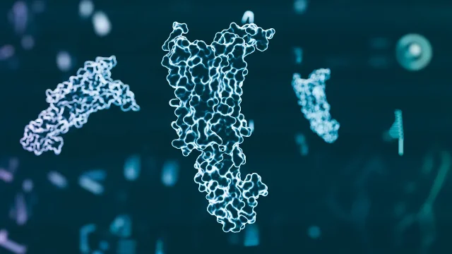 GLP-1 分子结构示意图
