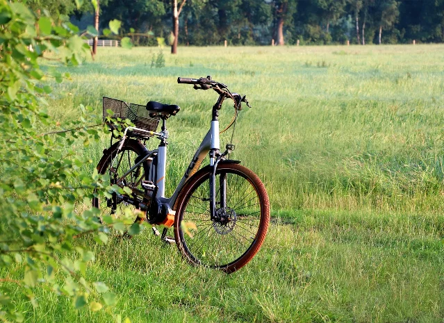 An eBike parked in a meadow showing the full bicycle profile