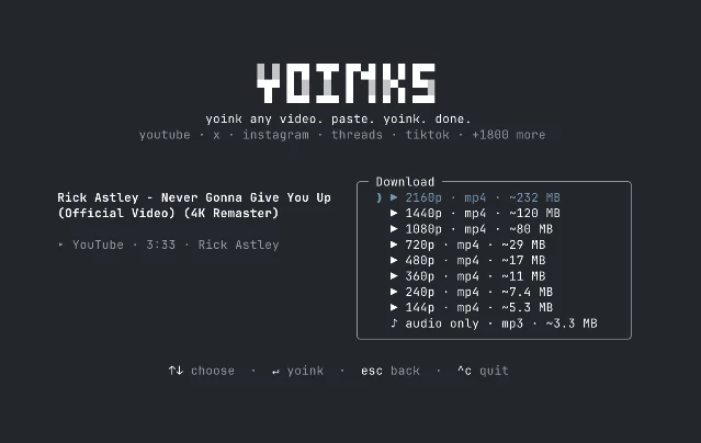 A dark terminal screen titled yoinks, with a video title on the left and a boxed list of resolutions from 2160p to 144p, each with an estimated file size, ending in an audio-only mp3 row