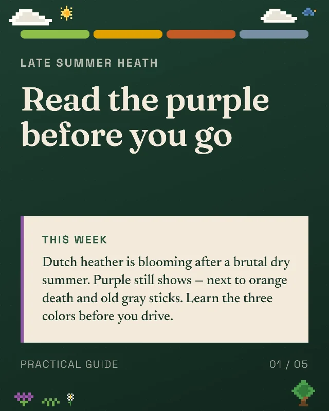 Read the purple before you go