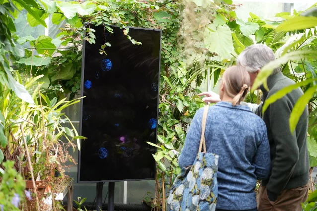 Studio Blue Green, Phycologica: Reconnecting with our algal kin, installed among plants in the Bristol Botanic Gardens glasshouse, June 2026