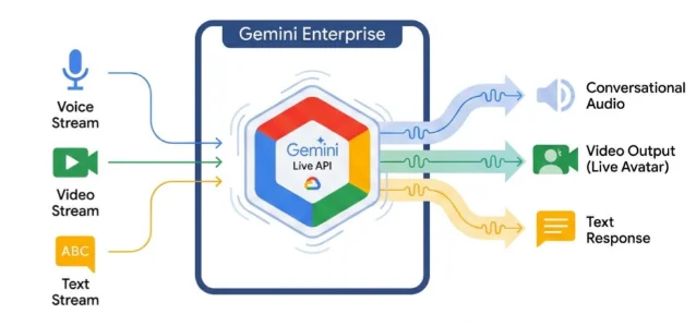 Gemini Live API 的输入输出结构图