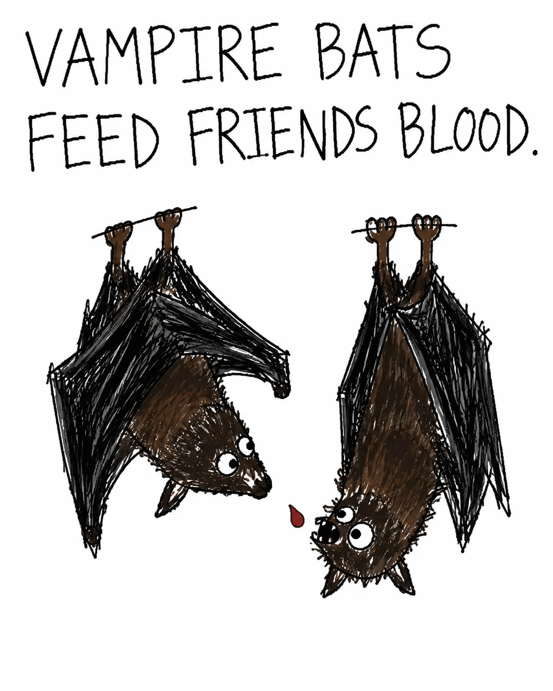 Vampire bats feed friends blood.