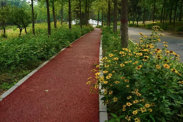 绿道弯道与花木景观,远处可见白色小桥