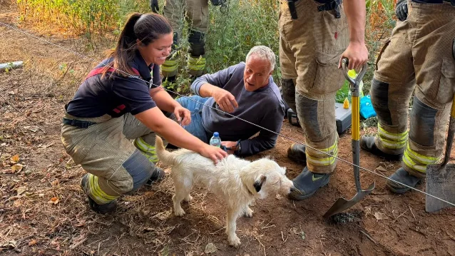 A firefighter checks Cello beside the rescue team after the terrier came out of the sett.