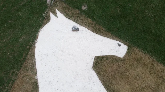 An aerial close-up of the head and neck of a chalk figure on a grassy hillside, white fill bordered by short grass, with two darker stones set into the white surface