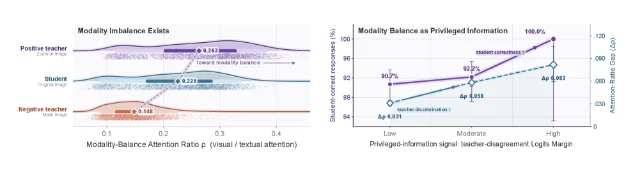 Modality Balance 作为 privileged information