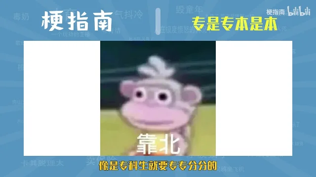 白框里一只粉色卡通猴张着嘴,画面里配着「靠北」两个字,底部黄字写着「像是专科生就要专专分分的」