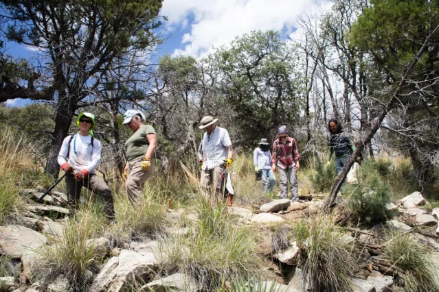 Volunteers hike through rocky terrain toward the Crystal Spring Trail on Mount Lemmon.