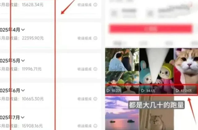 抖音特效/短视频项目示意图