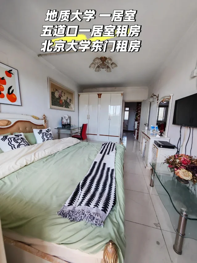 卧室、衣柜、书桌和电视的房源图