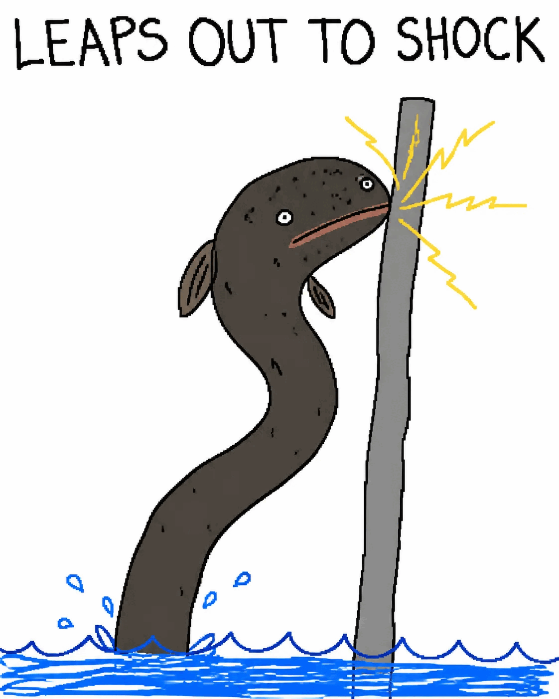 This eel leaps out to shock you.