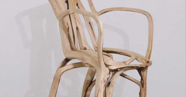 A pale branch-like wooden chair with an open back and curved arms against a light wall